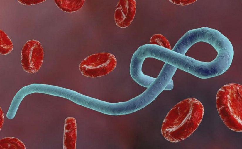 Ebola Marches on in the DRC – “Not a Public Health Emergency of International Concern”?